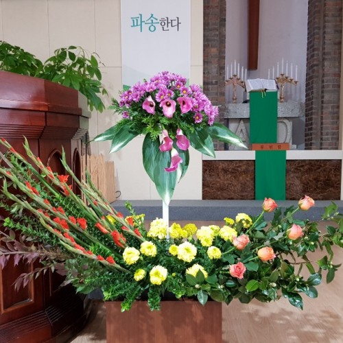 2019년 11월 3일 주일강단 장식