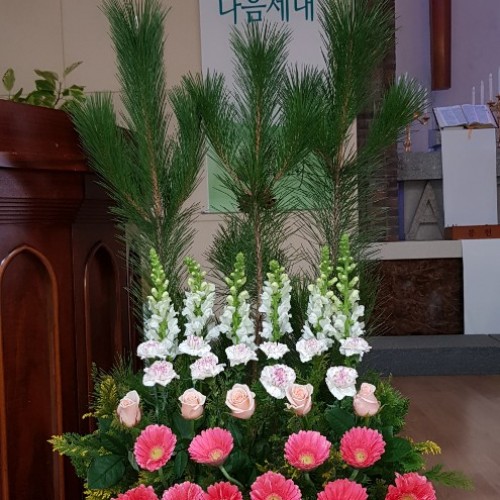 2019년 1월 5일 강단장식