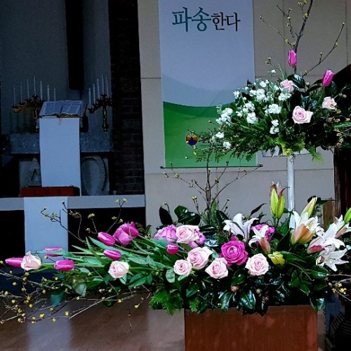 2019년 1월 19일 강단장식