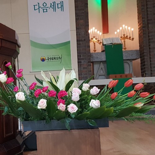 2019년 2월 9일 강단장식