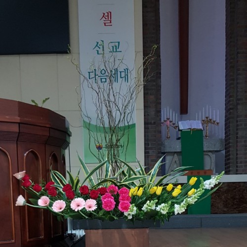 2019년 2월 16일 강단장식