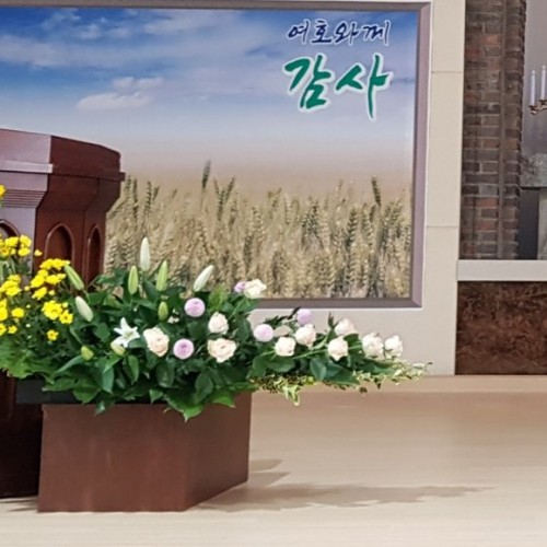 성령강림 후 제5주