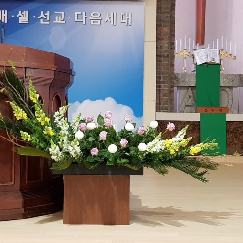 주현 후 제6주