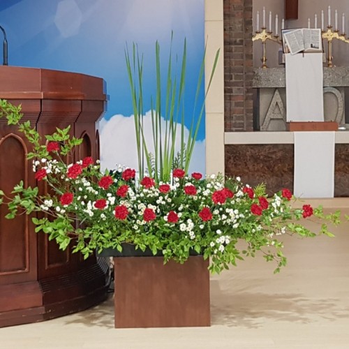 부활절 제4주/어버이주일