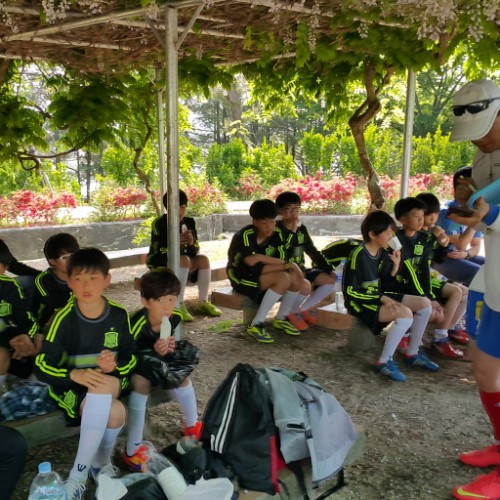 온양동지방 감리사배 아동부 축구대회