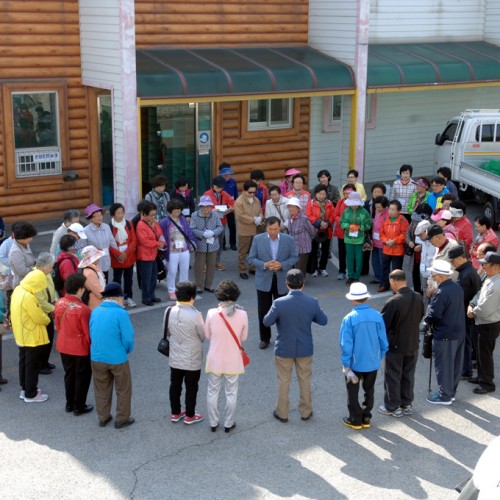2015 봄맞이 효도관광1