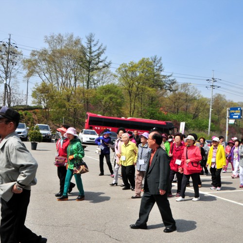 2015 봄맞이 효도관광3