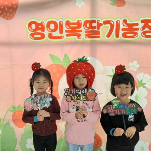 딸기밭 체험활동
