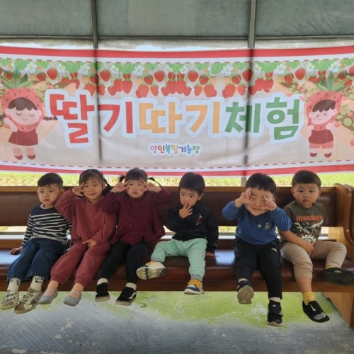 딸기밭 체험(영아반)