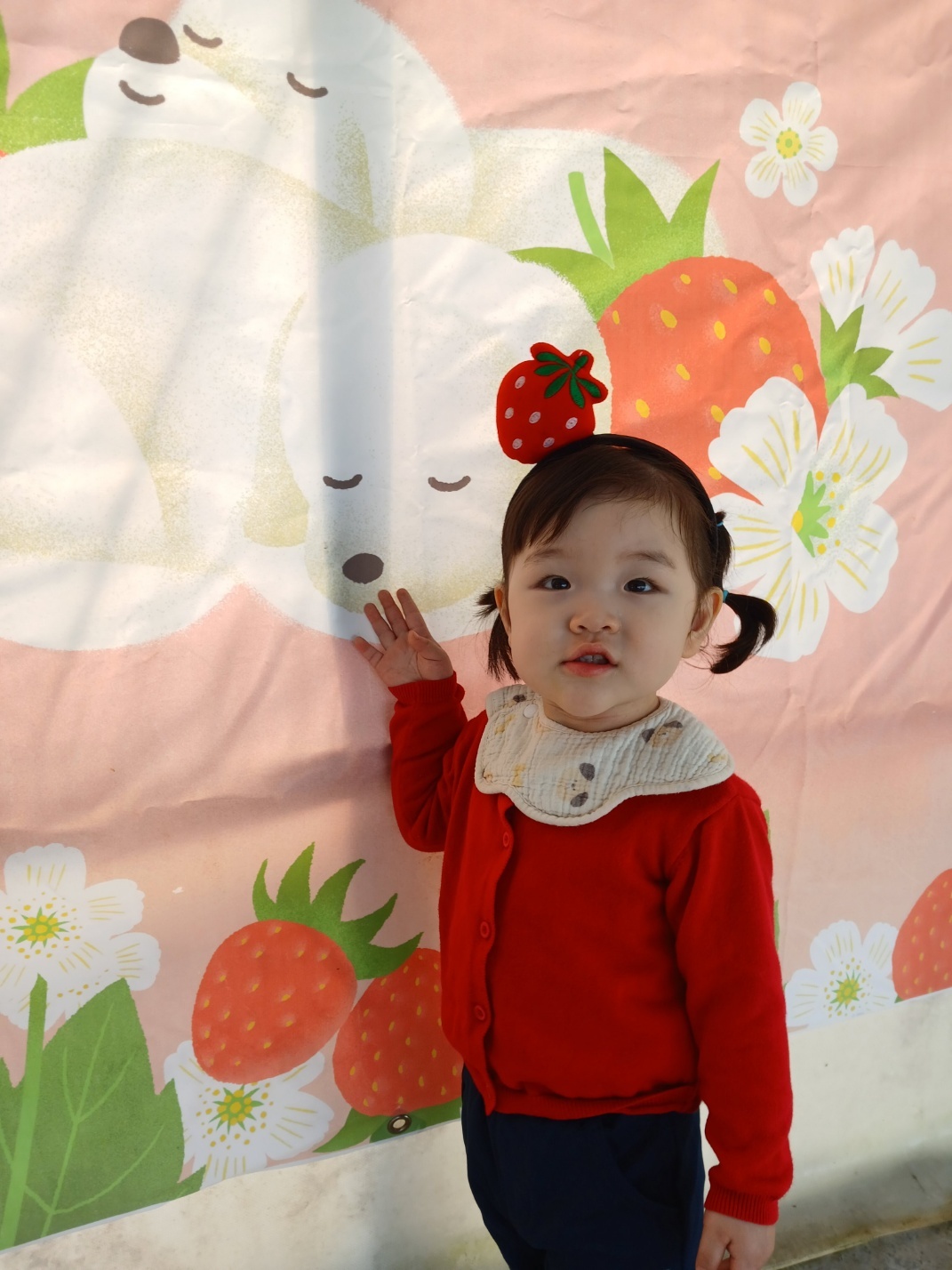 11be3f27e86894c67493a50a65c2693e_1745240186_1441.jpg
