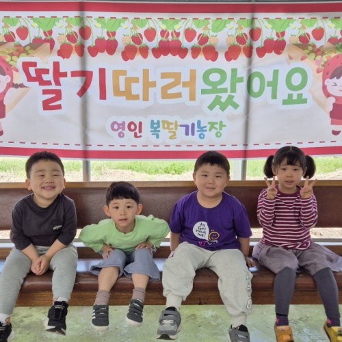딸기밭 체헙활