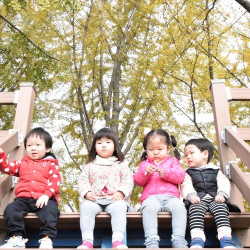 은행나무길(곡교천)