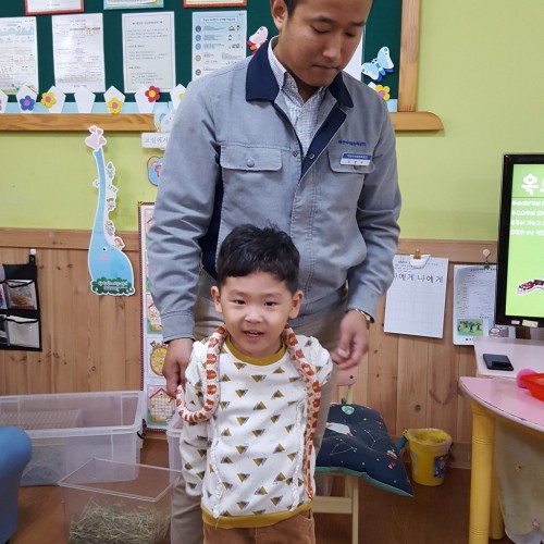 곤충체험 