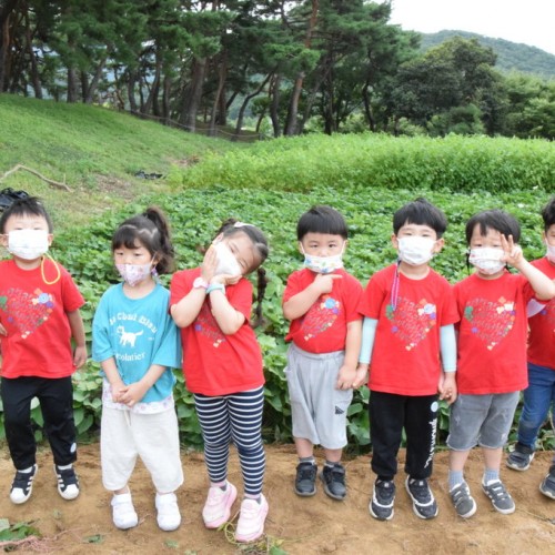 고구마 캐기 & 외암리 민속마을