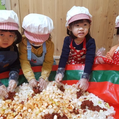 아삭아삭 깍두기 담그기 (영아반)